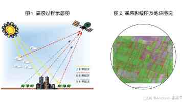 非洲性生生活性生交｜仪式起源与当代演变解析