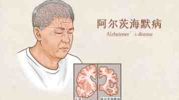 51吃瓜网｜真实娱乐八卦社区体验与避坑指南
